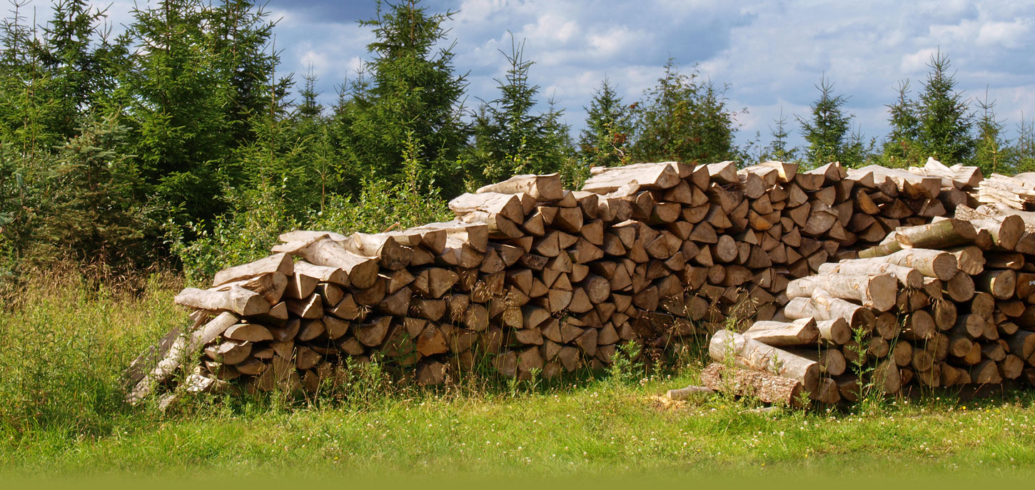 Holzstapel